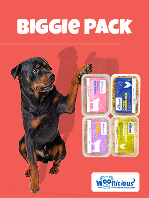 Biggie Pack