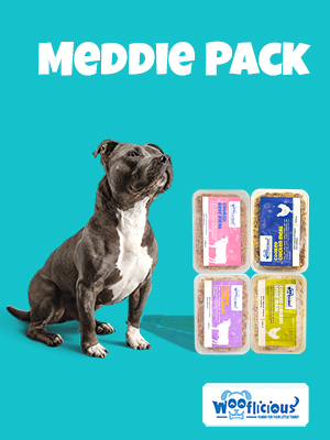 Meddie Pack