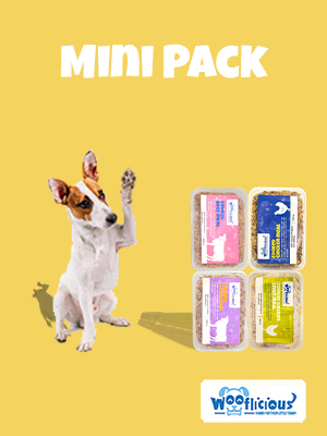 Mini Pack